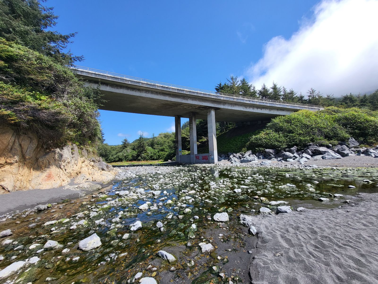 The highway bridge that goes over Wilson Creek and the sand at DeMartin Beach Picnic Area